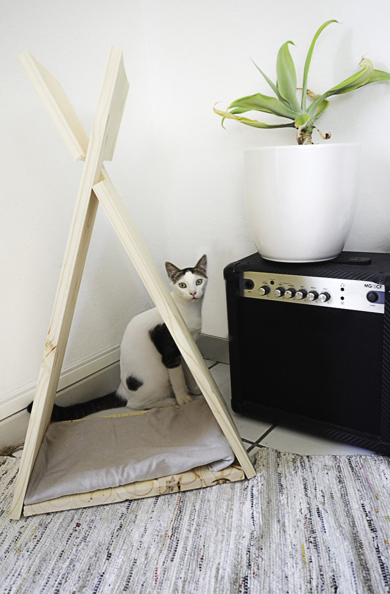 Tipi pour chat posé au sol avec un chat blanc assis derrière
