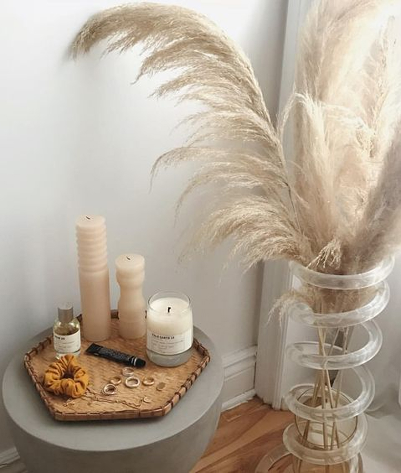 PAMPA – Tendances sur le blog déco de Décogité à La Réunion (974)