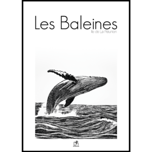 Les Baleines