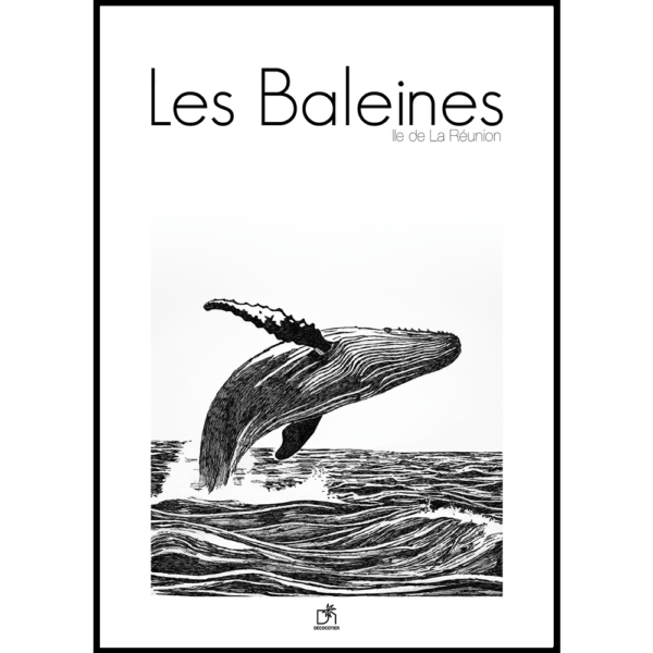 affiche Les Baleines 1 1