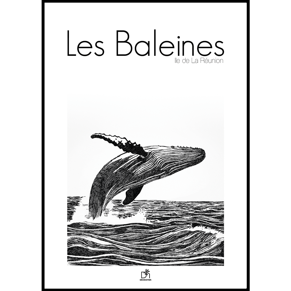 affiche Les Baleines 1 1