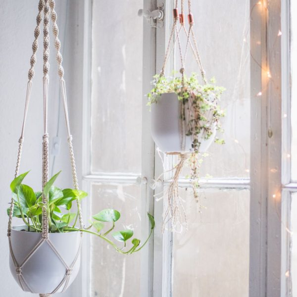 Suspensions végétales décoratives en macramé