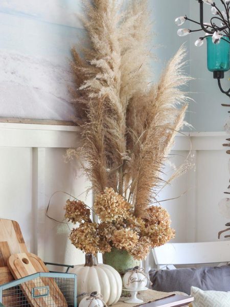 Herbe de la pampa dans un décor champêtre